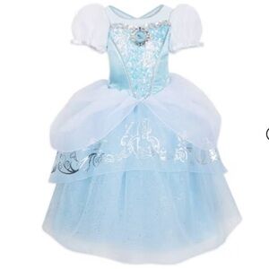 Disney Cindarella costume